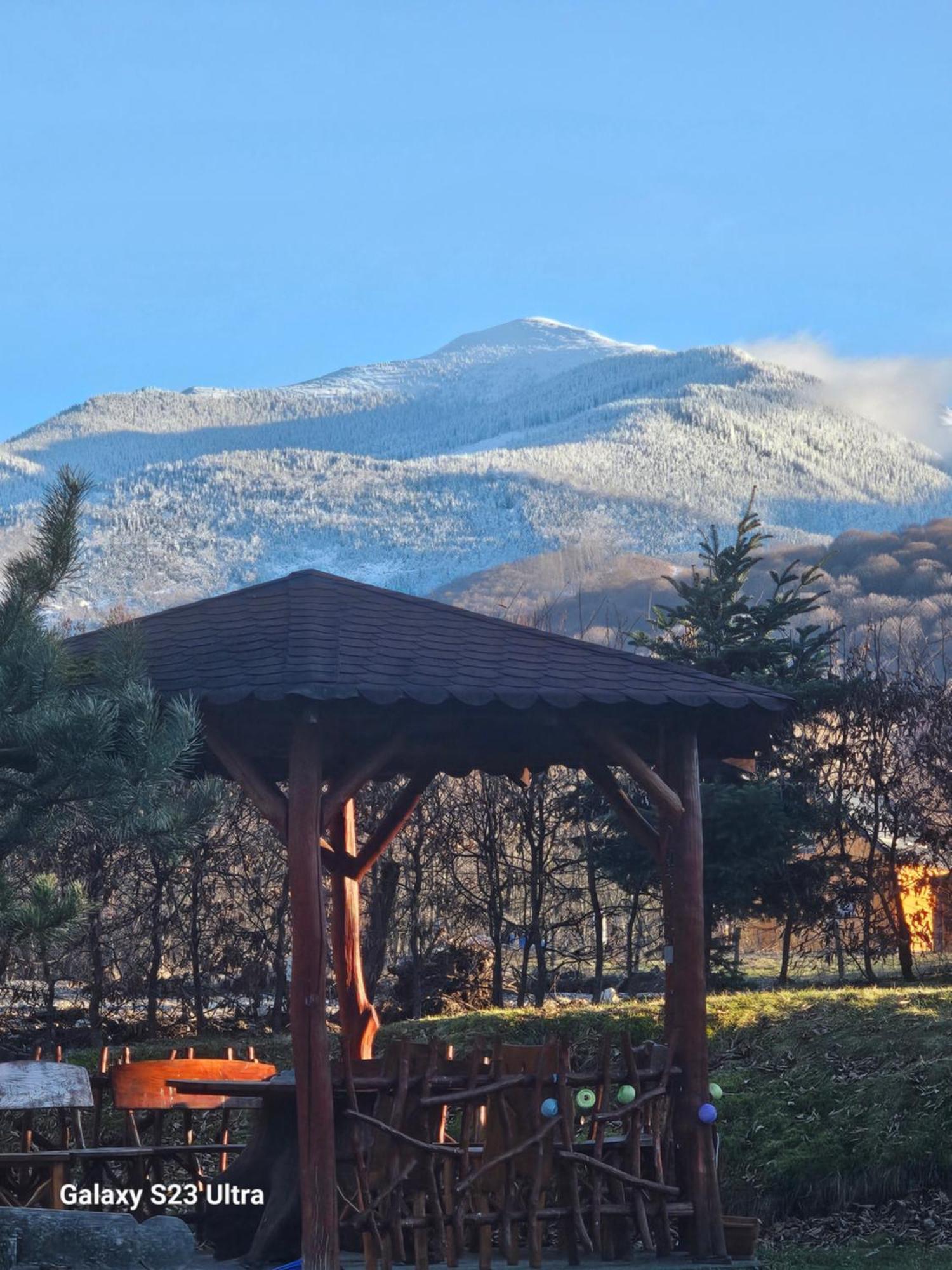Casa De Vacanta Marin Arpaşu de Sus Dış mekan fotoğraf