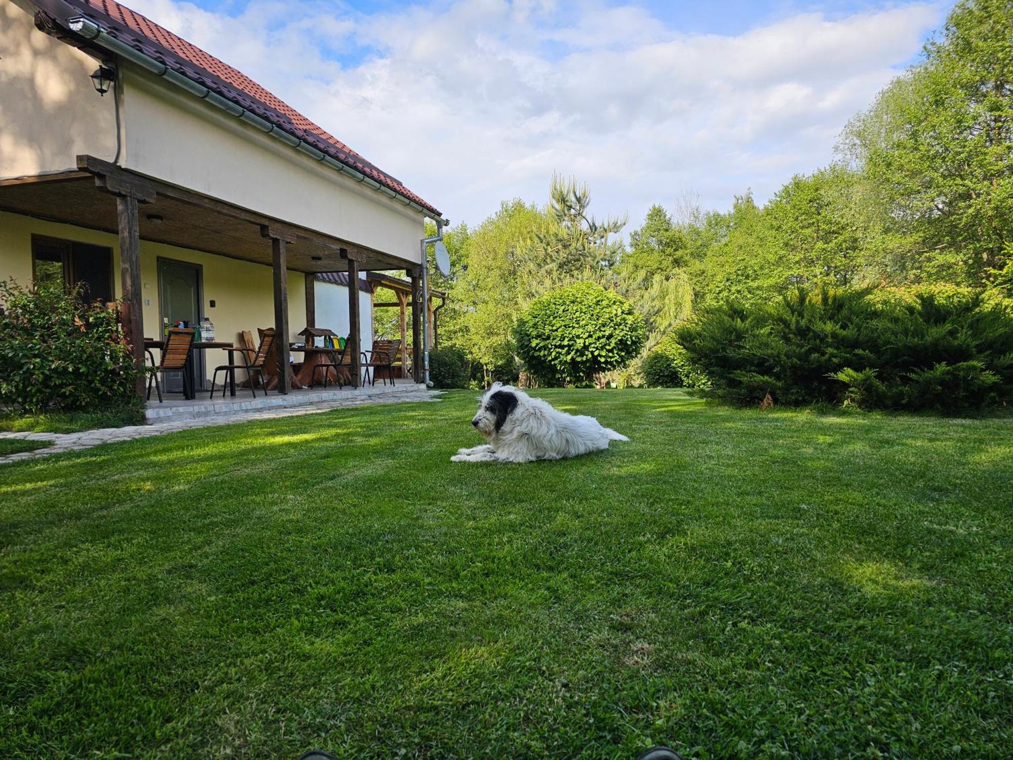 Casa De Vacanta Marin Arpaşu de Sus Dış mekan fotoğraf
