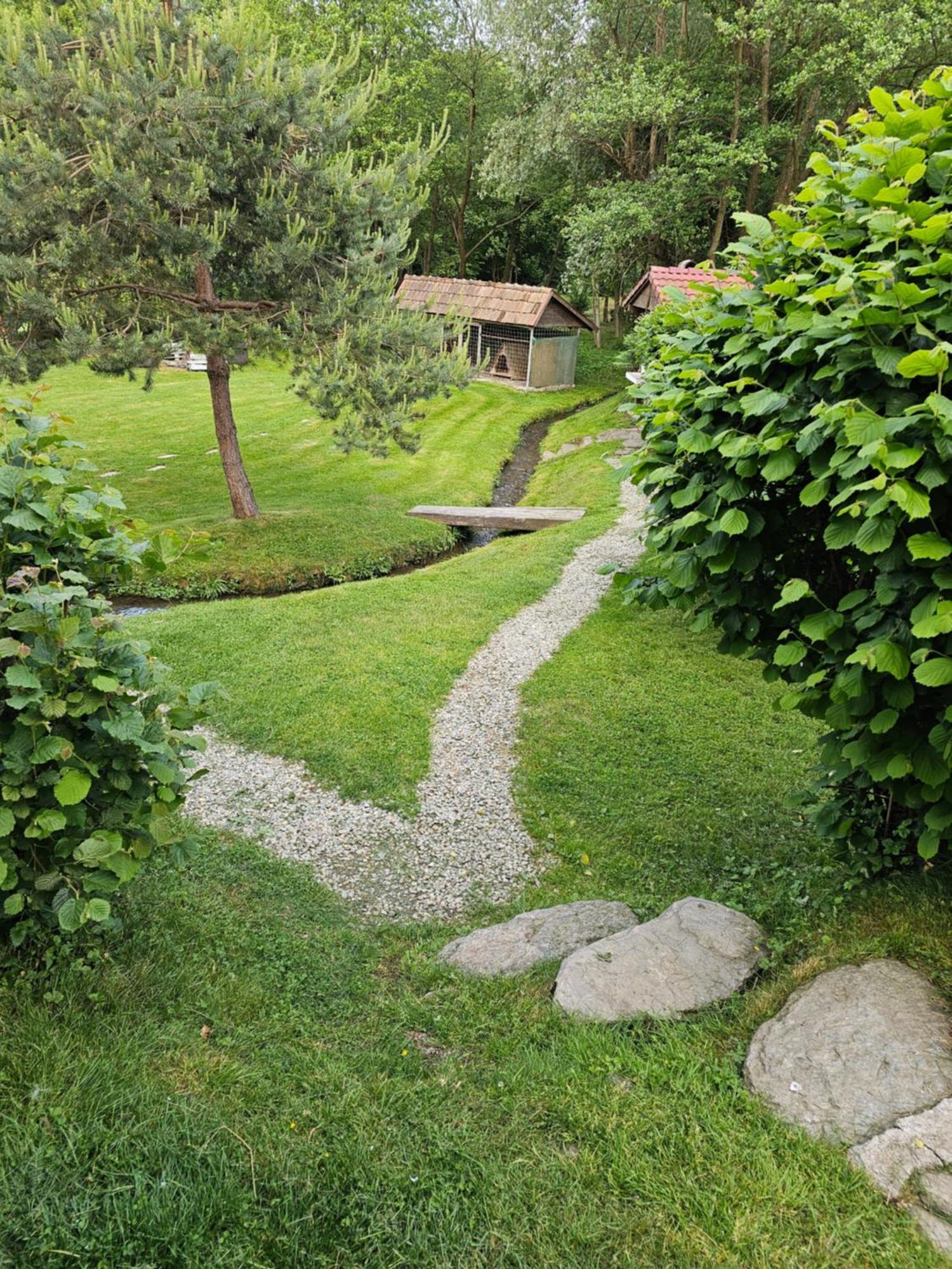 Casa De Vacanta Marin Arpaşu de Sus Dış mekan fotoğraf
