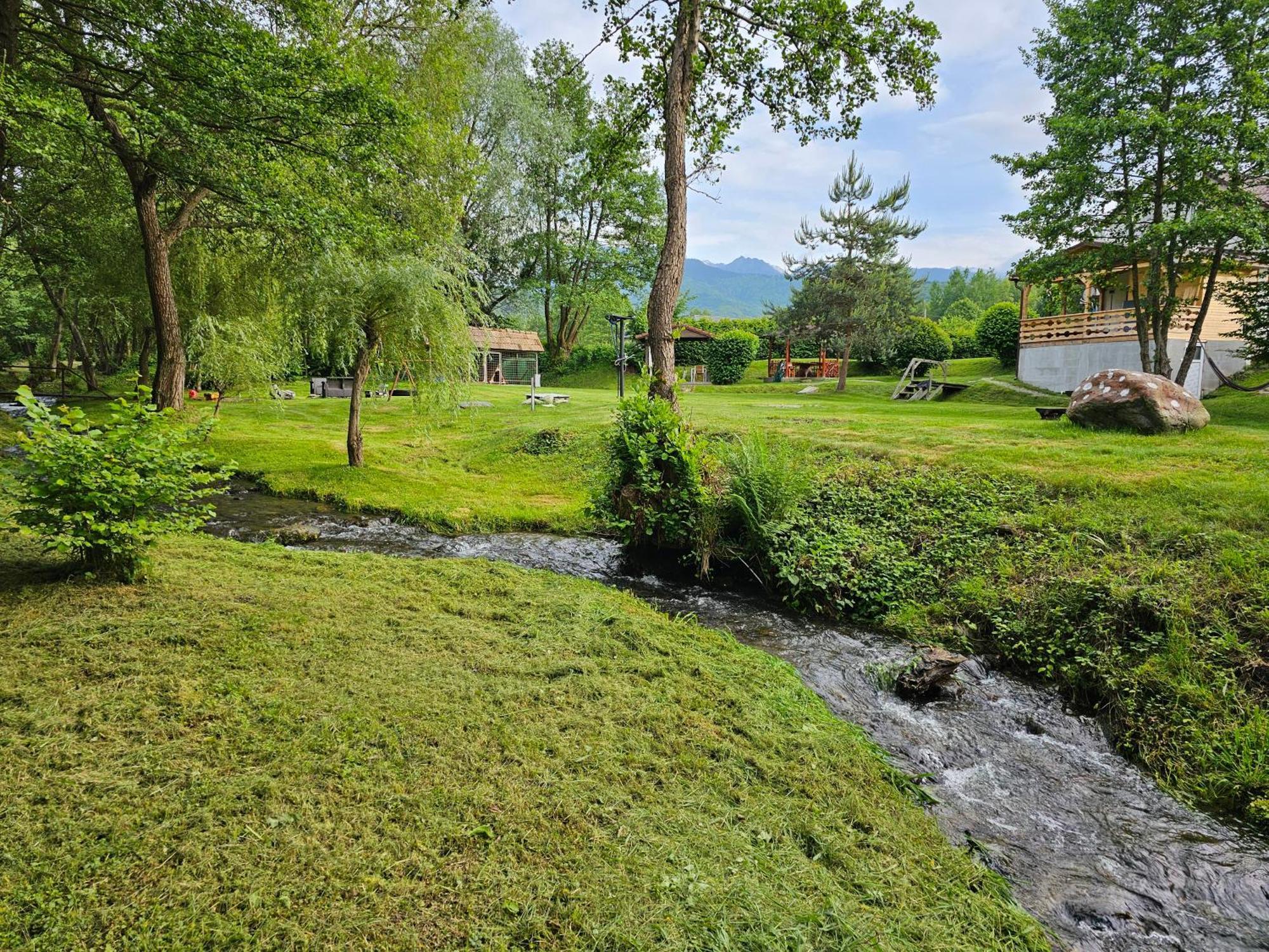 Casa De Vacanta Marin Arpaşu de Sus Dış mekan fotoğraf
