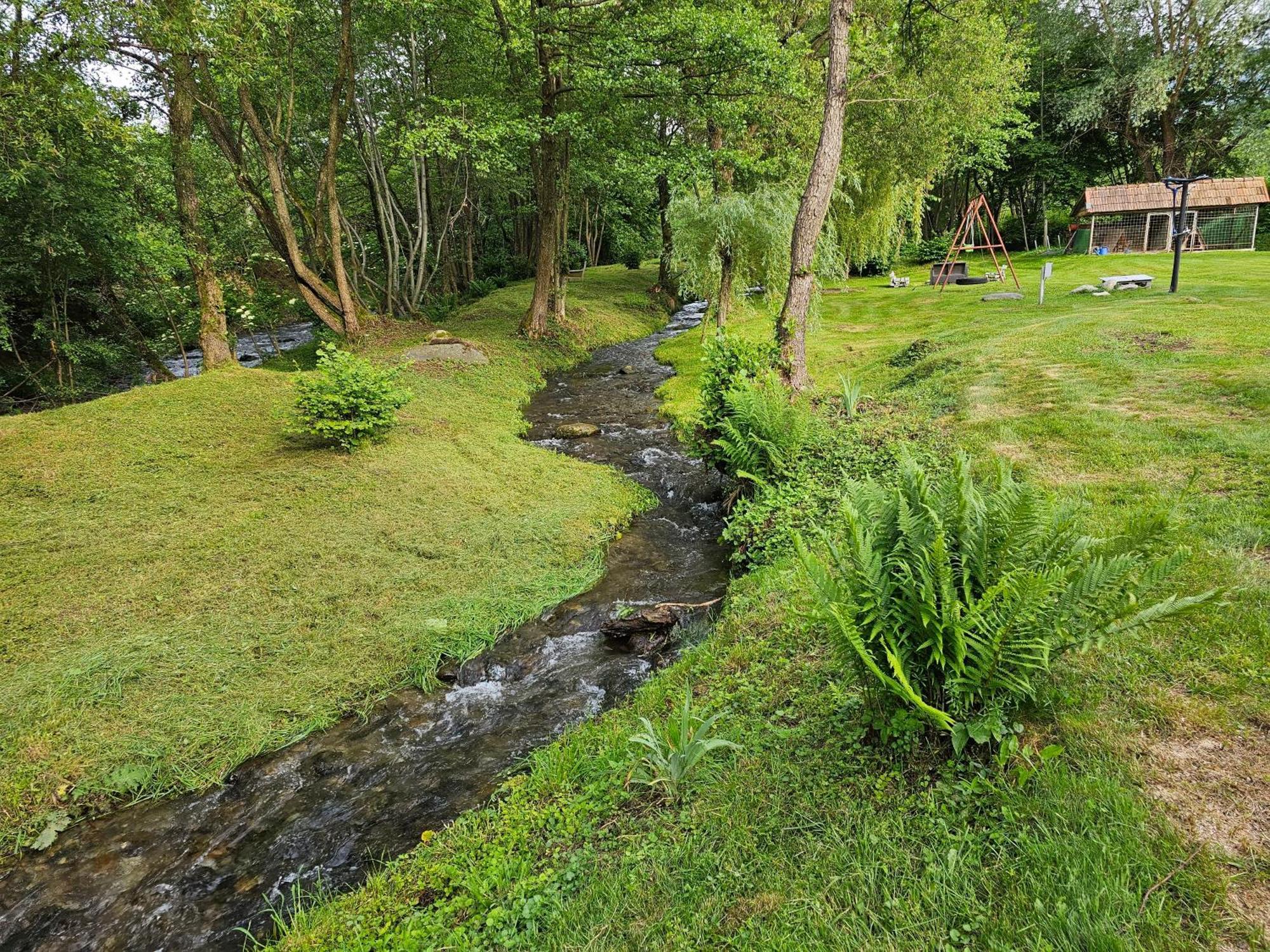 Casa De Vacanta Marin Arpaşu de Sus Dış mekan fotoğraf