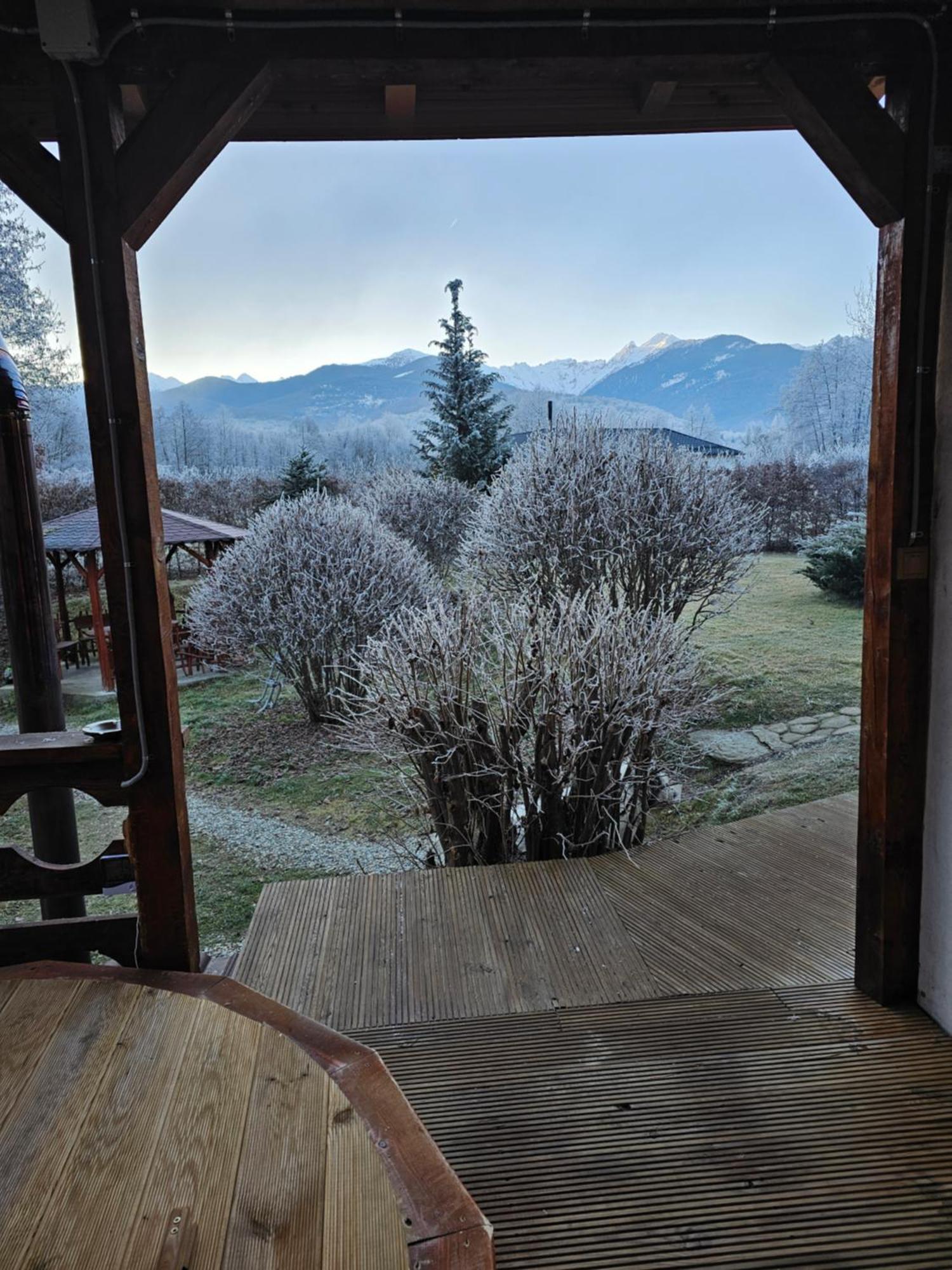 Casa De Vacanta Marin Arpaşu de Sus Dış mekan fotoğraf