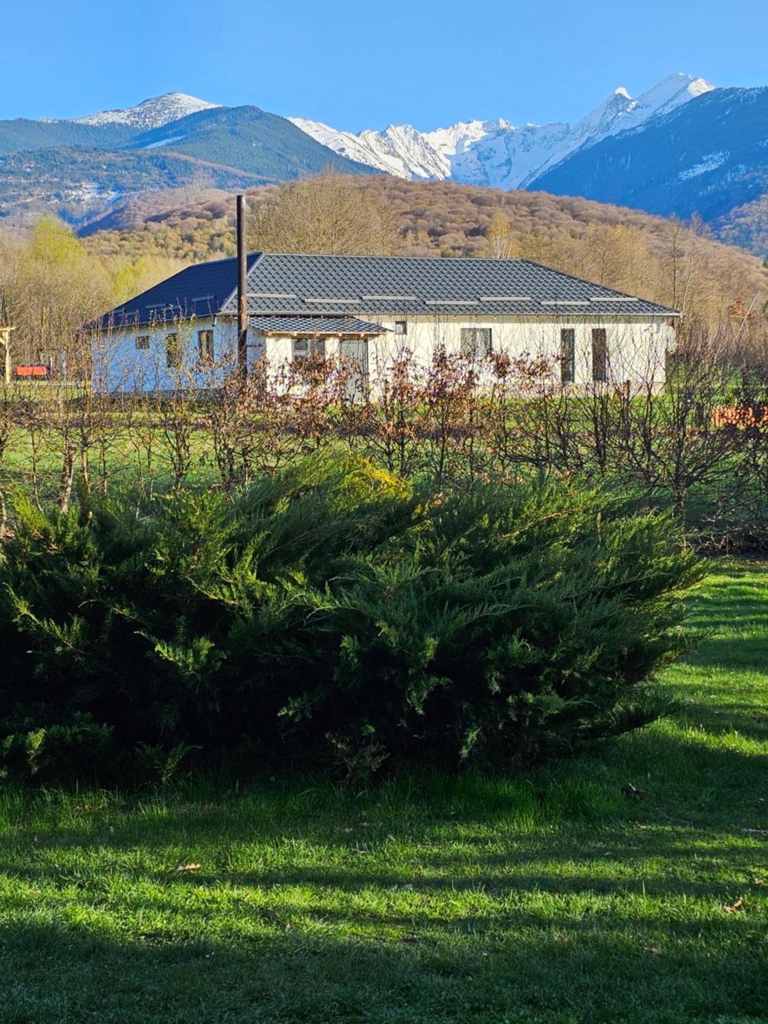 Casa De Vacanta Marin Arpaşu de Sus Dış mekan fotoğraf